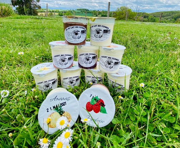Pots de yaourts et desserts bio fermiers Lait Meuh empilés dans le pré